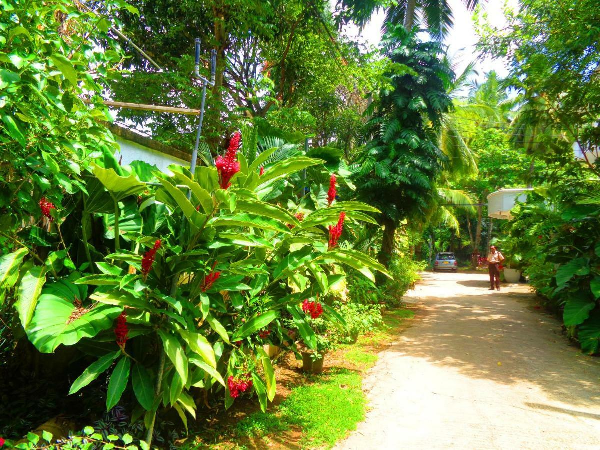 Nooit Gedacht Holiday Resort Unawatuna Εξωτερικό φωτογραφία